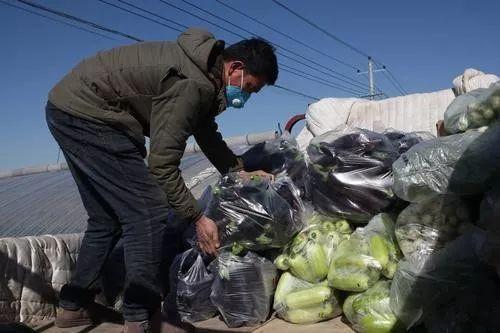 临河吃瓜最新事件爆料新闻,最新爆料揭露惊人内幕