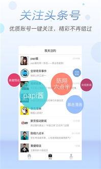 最近头条视频在哪里看,一网打尽热门短视频平台