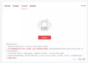 如何查看头条图库条款,了解版权与隐私政策