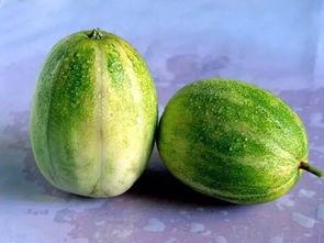 吃瓜现场之甜瓜,揭秘甜瓜的甜蜜诱惑