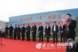 日照涛雒镇交通新闻头条,头条聚焦区域交通发展动态