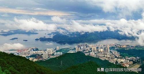 盐田区最新爆料,揭秘城市变迁中的热点事件与民生动态