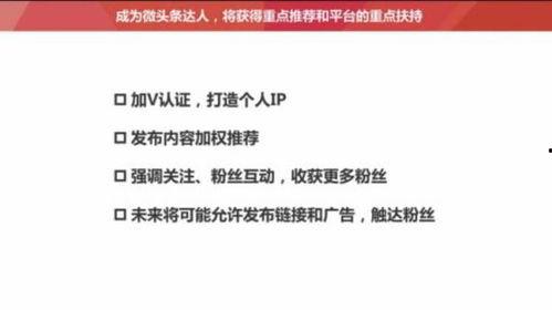 关于头条视频评论的文章,洞察用户互动与内容价值的秘密