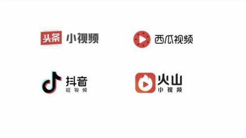 手机端头条号发布会,揭秘新功能与未来布局