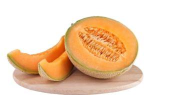 小狗吃冰哈密瓜