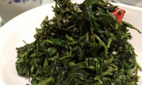 凉瓜适合哪个季节吃,夏季消暑解热的天然良品