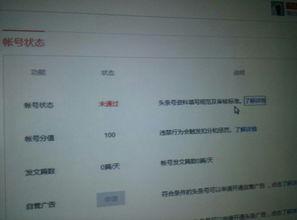 注册头条资质怎么写,开启自媒体新篇章