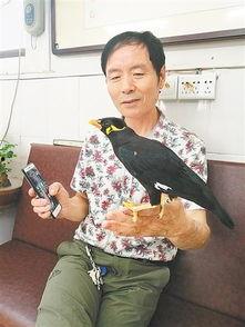 老婆说唱歌成明星,老婆的明星梦之旅