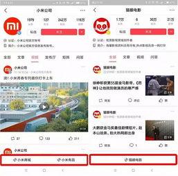 福州头条小程序,最新资讯一网打尽，尽在指尖