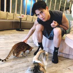 彭于晏爆料最新视频,幕后故事与心路历程大公开