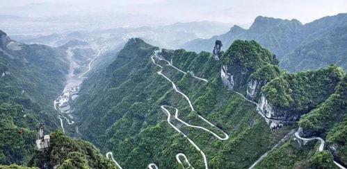 南北大穿越明星